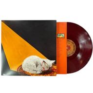 Permanent Pleasure ♡ Joywave